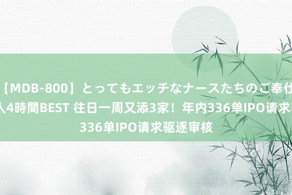 【MDB-800】とってもエッチなナースたちのご奉仕SEX 30人4時間BEST 往日一周又添3家！年内336单IPO请求驱逐审核