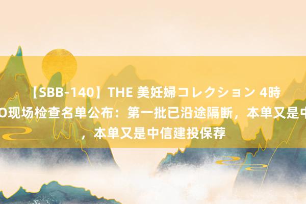 【SBB-140】THE 美妊婦コレクション 4時間 第二批IPO现场检查名单公布：第一批已沿途隔断，本单又是中信建投保荐