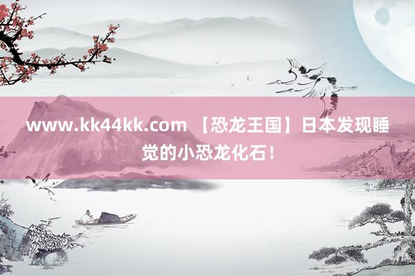 www.kk44kk.com 【恐龙王国】日本发现睡觉的小恐龙化石！