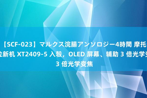 【SCF-023】マルクス浣腸アンソロジー4時間 摩托罗拉新机 XT2409-5 入彀，OLED 屏幕、辅助 3 倍光学变焦