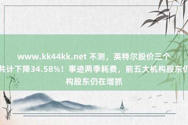 www.kk44kk.net 不测，英特尔股价三个往翌日共计下降34.58%！事迹两季耗费，前五大机构股东仍在增抓