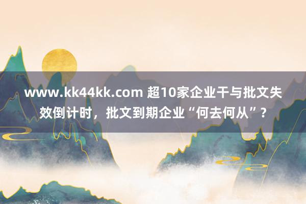 www.kk44kk.com 超10家企业干与批文失效倒计时，批文到期企业“何去何从”？