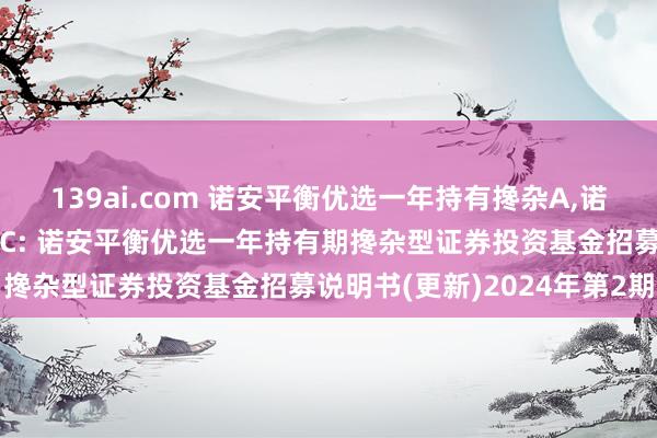 139ai.com 诺安平衡优选一年持有搀杂A，诺安平衡优选一年持有搀杂C: 诺安平衡优选一年持有期搀杂型证券投资基金招募说明书(更新)2024年第2期