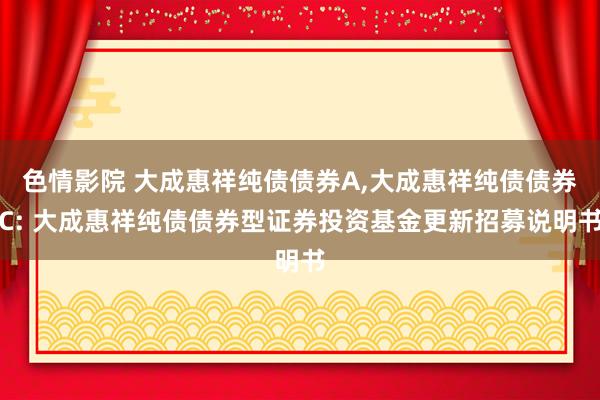 色情影院 大成惠祥纯债债券A，大成惠祥纯债债券C: 大成惠祥纯债债券型证券投资基金更新招募说明书