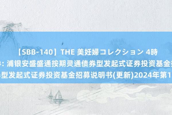 【SBB-140】THE 美妊婦コレクション 4時間 浦银安盛盛通定开债券: 浦银安盛盛通按期灵通债券型发起式证券投资基金招募说明书(更新)2024年第1号