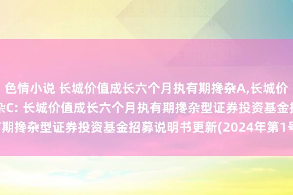 色情小说 长城价值成长六个月执有期搀杂A，长城价值成长六个月执有期搀杂C: 长城价值成长六个月执有期搀杂型证券投资基金招募说明书更新(2024年第1号)