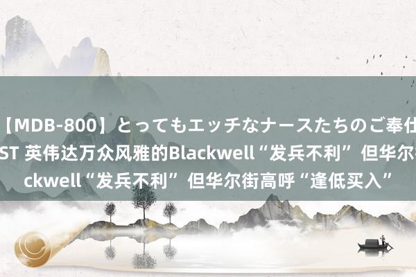 【MDB-800】とってもエッチなナースたちのご奉仕SEX 30人4時間BEST 英伟达万众风雅的Blackwell“发兵不利” 但华尔街高呼“逢低买入”