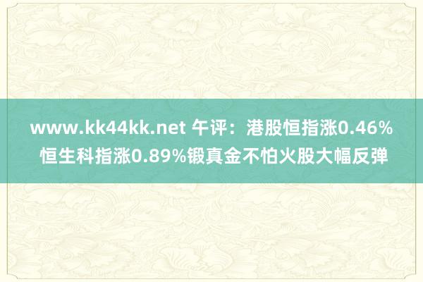 www.kk44kk.net 午评：港股恒指涨0.46% 恒生科指涨0.89%锻真金不怕火股大幅反弹