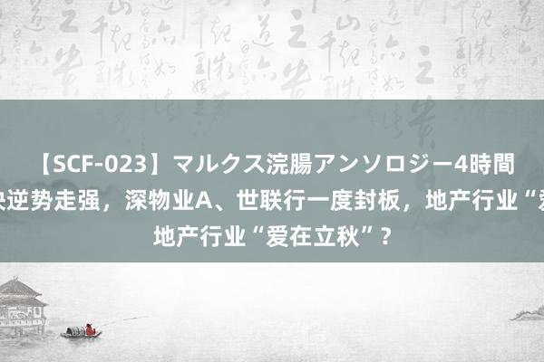 【SCF-023】マルクス浣腸アンソロジー4時間 房地产板块逆势走强，深物业A、世联行一度封板，地产行业“爱在立秋”？