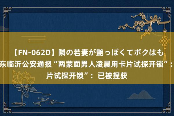 【FN-062D】隣の若妻が艶っぽくてボクはもう… 5 山东临沂公安通报“两蒙面男人凌晨用卡片试探开锁”：已被捏获