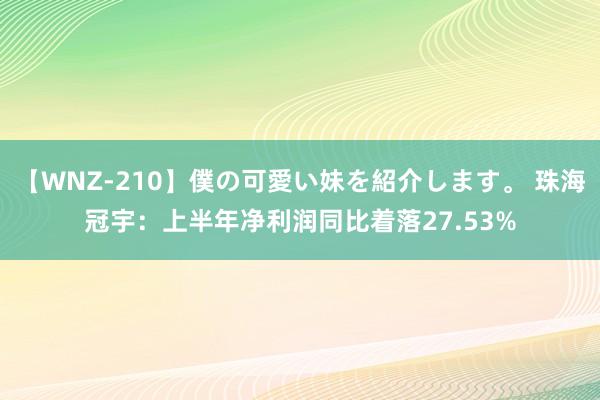 【WNZ-210】僕の可愛い妹を紹介します。 珠海冠宇：上半年净利润同比着落27.53%