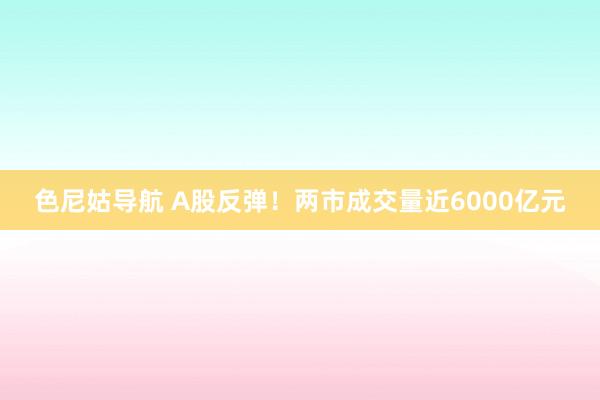 色尼姑导航 A股反弹！两市成交量近6000亿元