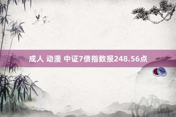 成人 动漫 中证7债指数报248.56点