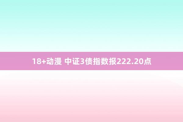 18+动漫 中证3债指数报222.20点