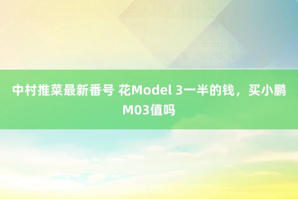 中村推菜最新番号 花Model 3一半的钱，买小鹏M03值吗