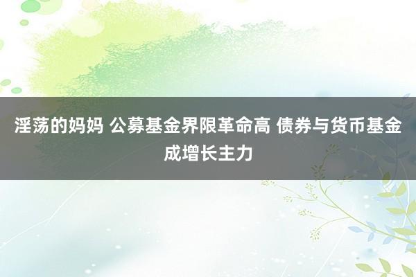 淫荡的妈妈 公募基金界限革命高 债券与货币基金成增长主力