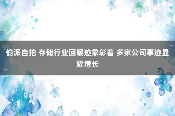 偷派自拍 存储行业回暖迹象彰着 多家公司事迹显耀增长