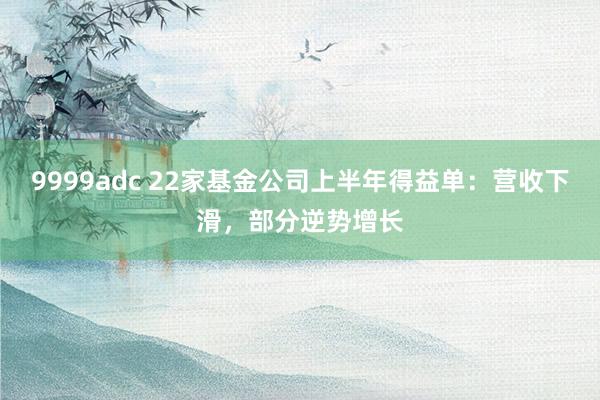 9999adc 22家基金公司上半年得益单：营收下滑，部分逆势增长