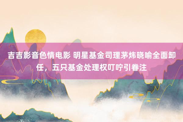 吉吉影音色情电影 明星基金司理茅炜晓喻全面卸任，五只基金处理权叮咛引眷注