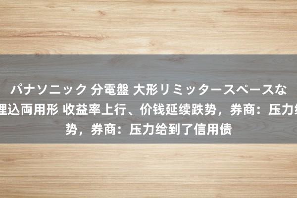 パナソニック 分電盤 大形リミッタースペースなし 露出・半埋込両用形 收益率上行、价钱延续跌势，券商：压力给到了信用债