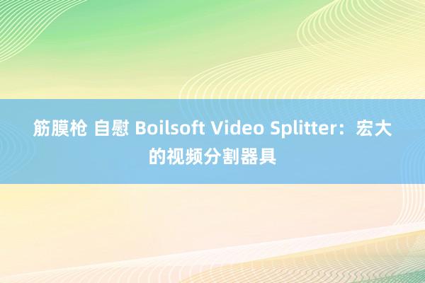 筋膜枪 自慰 Boilsoft Video Splitter：宏大的视频分割器具