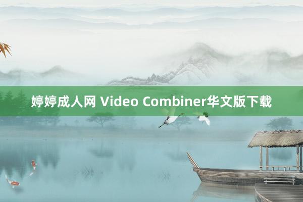 婷婷成人网 Video Combiner华文版下载