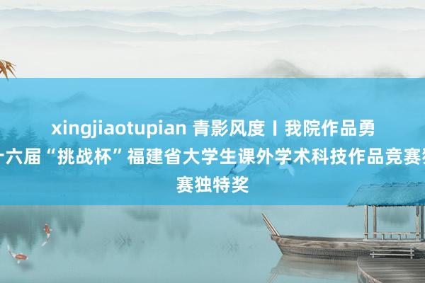 xingjiaotupian 青影风度〡我院作品勇夺第十六届“挑战杯”福建省大学生课外学术科技作品竞赛独特奖