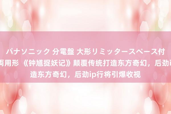 パナソニック 分電盤 大形リミッタースペース付 露出・半埋込両用形 《钟馗捉妖记》颠覆传统打造东方奇幻，后劲ip行将引爆收视