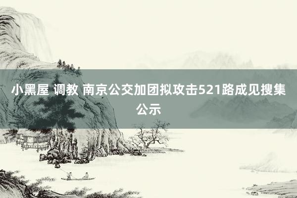 小黑屋 调教 南京公交加团拟攻击521路成见搜集公示