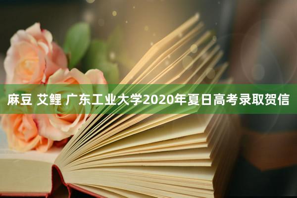 麻豆 艾鲤 广东工业大学2020年夏日高考录取贺信